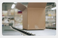 Understanding the Freight Business & Logistics